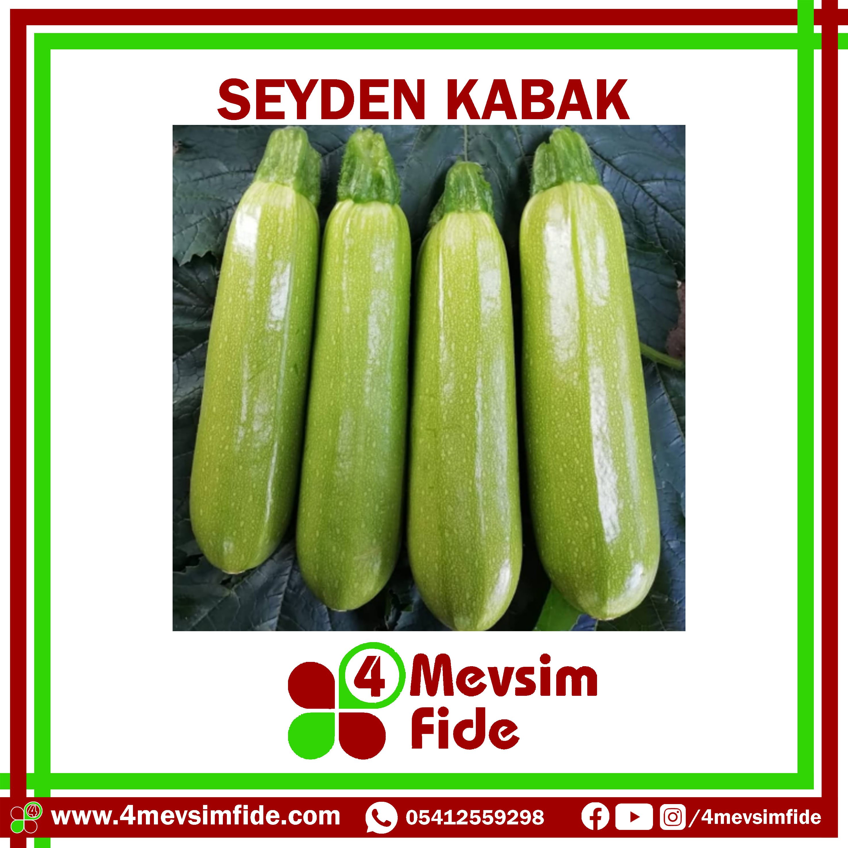 seyden f1 kabak fidesi